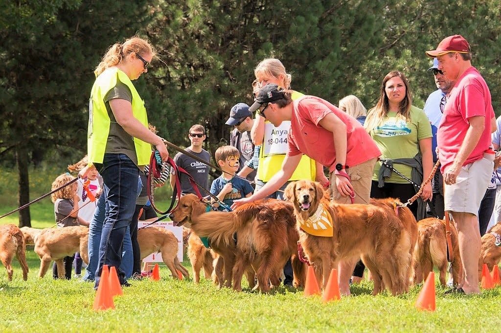 Goldzilla Fun Fair & Walk for Rescue