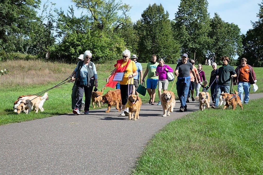 Goldzilla Fun Fair & Walk for Rescue