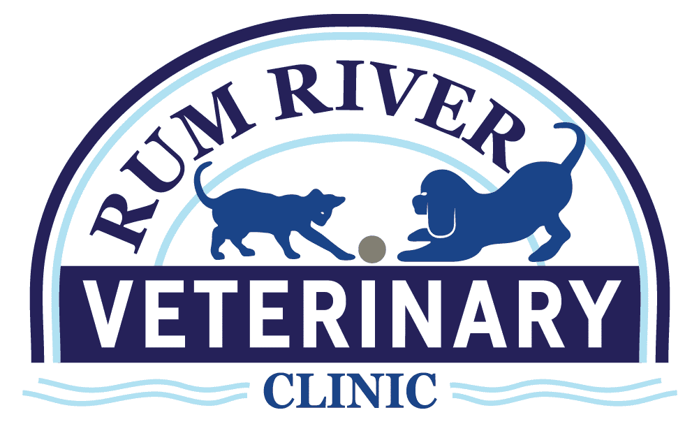 Rum River Veterinary